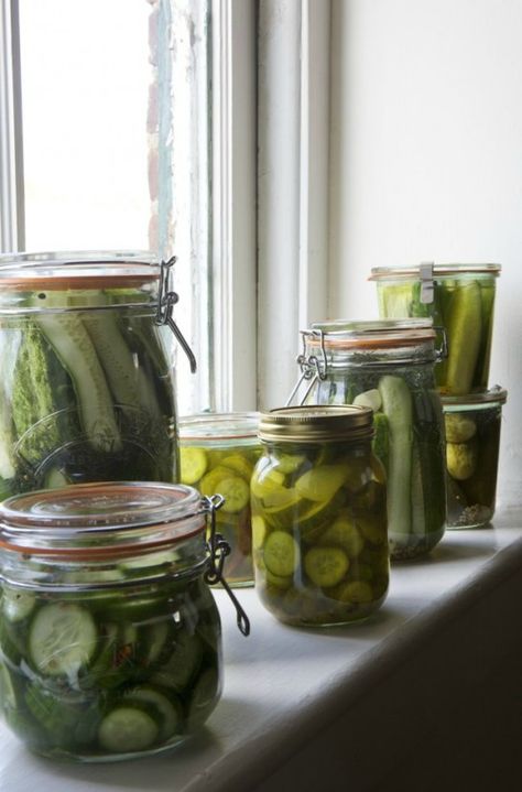 Free Canning Classes: Pickles & Relishes! Free canning tech class Aug 12&13 at #WilliamsSonoma #Somersetmall call to register 637-0672 Canning Tools, Pickle Vodka, Butter Pickles, Canning Pickles, Canning Tips, Pickle Butter, Home Canning, Pickle Relish, Bread Butter