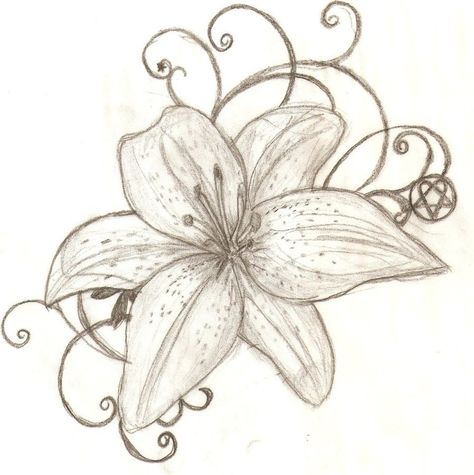 lily flowers drawings | tiger-lily-tattoo-designs-tattoo-design-tiger-lily-by-lguest-on ... Tiger Lily Tattoo, Tiger Lily Tattoos, Lillies Tattoo, Lily Tattoo Design, Lilies Drawing, Lily Flower Tattoos, Flower Tattoo Meanings, Flower Tattoo Drawings, Geniale Tattoos