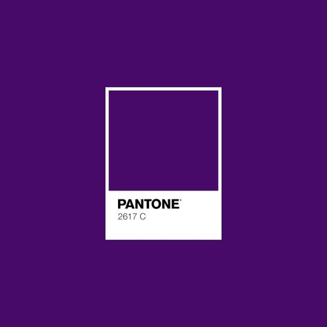 Pantone Deep Purple | Deep Winter Palette, Pantone Color Check more at https://weddingdream.me/48-ideas-wedding-colors-schemes-sage-navy-blue-for-2020/2 Tumblr, Nico Minoru, Deep Winter Palette, Royal Purple Color, Winter Palette, Purple Palette, Pantone Palette, I Love School, Purple Opal