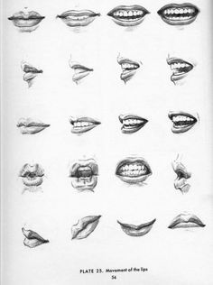 Classical Drawing, Mouth Drawing, 얼굴 드로잉, 얼굴 그리기, Drawing Heads, Lips Drawing, Sketchbook Pages, Ink Drawings, Facial Features