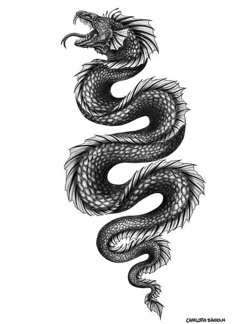 Hydra Monster Tattoo, Sea Dragon Tattoo Design, Water Serpent Tattoo, Sindragosa Tattoo, Water Snake Tattoo, Viking Snake Tattoo, Sea Snake Tattoo, World Serpent Tattoo, Basilisk Tattoo