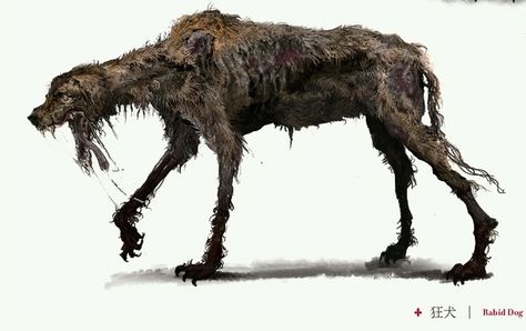 Rabid Dog | Bloodborne Wiki | Fandom Rabid Dog, Bloodborne Concept Art, Arte Zombie, Bloodborne Art, Demon Souls, Zombie Art, Hunting Dog, Creature Drawings, Monster Concept Art