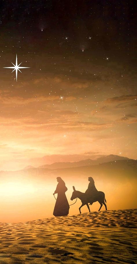 He Is Born Christmas, Silent Night Aesthetic, Catholic Christmas Wallpaper, Holy Family Wallpaper, Christmas Jesus Pictures, Christmas Nativity Wallpaper, Nativity Scene Wallpaper, Merry Christmas Nativity, Christmas Nativity Images