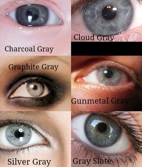 Gray eyes description Sterling Grey Eyes, Gray Hazel Eyes, Dark Gray Eyes, Dark Grey Eyes, Pretty Eyes Color, Heterochromia Eyes, Blue Eyes Aesthetic, Honey Eyes, Manifesting Board