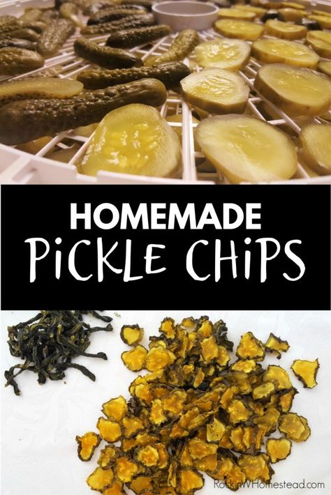 Dehydrated Pickles, Dehydrator Recipes Fruit, Dehydrating Food Storage, Food Dehydration, Healthy Chips, Vegetable Chips, Dehydrated Vegetables, Pickle Chips, Veggie Chips