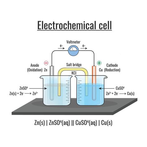 Electrochemical cell or Galvanic cell with Voltmeter and the function of salt bridge Salt Analysis Chemistry, Galvanic Cell, Biology Project, Electrochemical Cell, Cell Diagram, Gcse Chemistry, Biology Projects, Chemistry Education, Student Tips