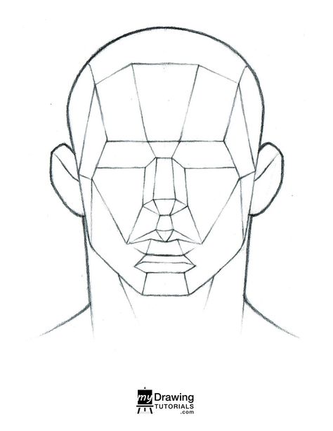 Head Drawing Profile, Loomis Method Head Front View, Front Face Reference Drawing, Planes Drawing, Loomis Head, Face Planes, Front Portrait, Human Face Drawing, Loomis Method