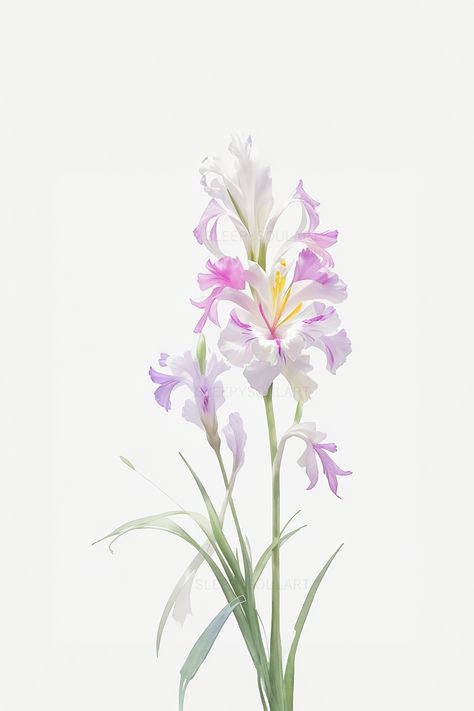 Experience the strength and vibrant beauty of the August Gladiolus Birth Flower. Our floral artwork captures the essence of this beloved August flower, representing courage, strength, and the dynamic charm of nature's tall blooms. #homedecor #watercolor #floral #nature #interiordesign #elegant #home #love #birthflower #gift #giftidea #meaningfulgiftidea #happybirthday #giftbox #birthdaygift #birthdaypresent #weddinggift #aesthetic #minimalist #minimalistic #design #tattooidea August Gladiolus, August Flower, Gladiolus Tattoo, August Birth Flower, Boyfriend Instagram, Gladiolus Flower, Aesthetic Minimalist, Elegant Home, Floral Artwork