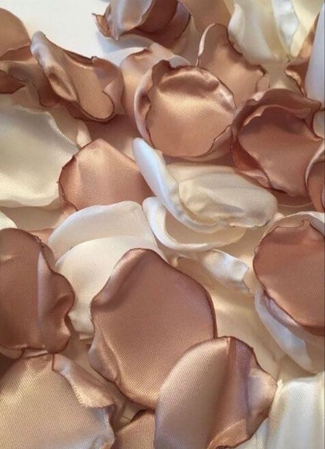 Blush Beige Aesthetic, Beige Baddie Aesthetic, Georgiana Beige Aesthetic, Tan Astethic, Beige Business Aesthetic, Beige Beauty Aesthetic, Champagne Colour Aesthetic, Soft Tan Aesthetic, Vanilla Aesthetic Color