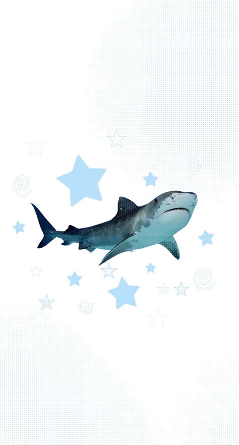 shark marine life wallpapers Stars, The Sky