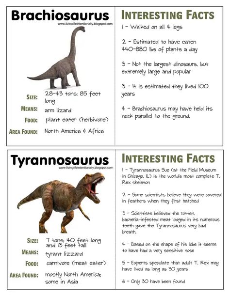 Dinosaur fact and writing.PDF - Google Drive Dino Facts, Dinosaur Facts For Kids, Dinosaur Information, Dinosaur Crafts Preschool, Dinosaur Types, Crown Printable, Learning French For Kids, Dinosaur Facts, Real Dinosaur