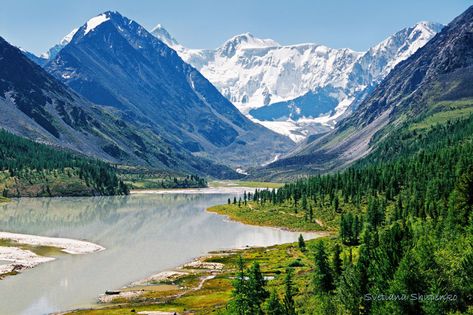 Lake Akkem under Belucha mountain in Altai Republic, Russia. Nature picture. Caucus Mountains, Russia Nature, Russia Forest, Alpine Mountains Landscapes, Ural Mountains Russia, Altai Mountains, Russian River Valley, Nature Picture, Hiking Routes