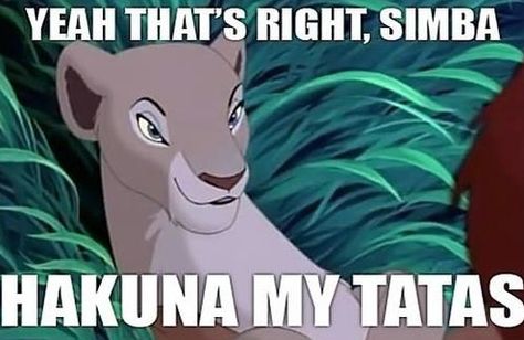 I feel slightly bad for laughing...slightly. Right In The Childhood, Disney Songs, My Funny Valentine, Memes Humor, Disney Memes, The Lion King, Have A Laugh, Disney Films, E Card