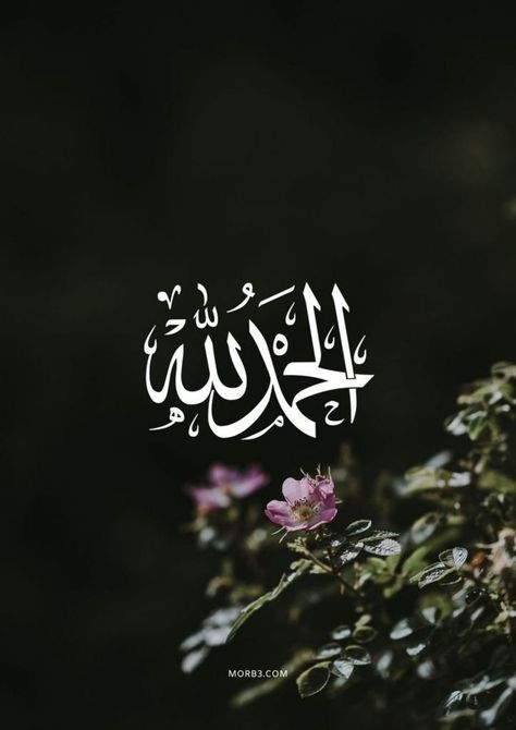 Instagram Profile Pic, Photoshop Text Effects, Eagle Art, Black Background Wallpaper, Love In Islam, Mehndi Designs For Beginners, Aesthetic Images, Text Effects, Islamic Quotes