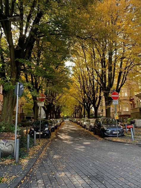 Nature, Fall In Germany Aesthetic, Germany Autumn Aesthetic, Autumn Europe Aesthetic, European Fall Aesthetic, Living In Germany Aesthetic, Calle Aesthetic, German Autumn, Deutschland Aesthetic