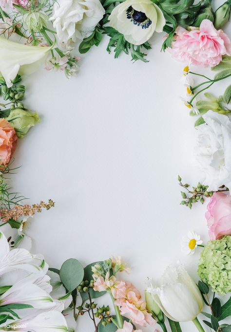 Fresh flowers frame on a white background | premium image by rawpixel.com / marinemynt #picture #photography #inspiration #photo #art #frame #flower #floral Wedding Flower Background, White Flower Border, Flower Flat Lay, White Flower Wallpaper, Flower Picture Frames, Apple Flowers, Flowers Frame, Flower Flat, Flower Graphic Design