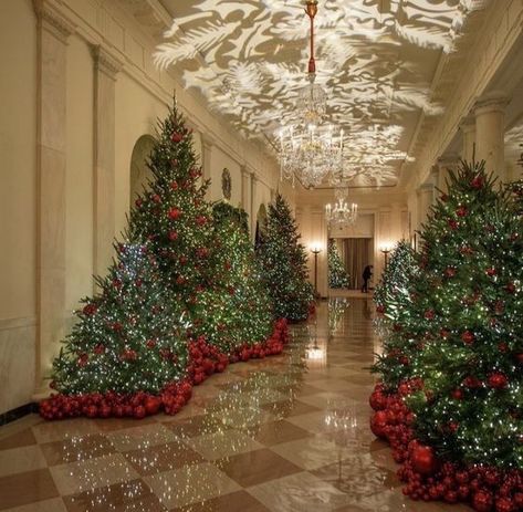 Enya Music, White House Christmas Decorations, National Christmas Tree, White House Christmas, Spruce Christmas Tree, Christmas In Heaven, Christmas Interiors, Christmas Planning, Christmas Tree Inspiration