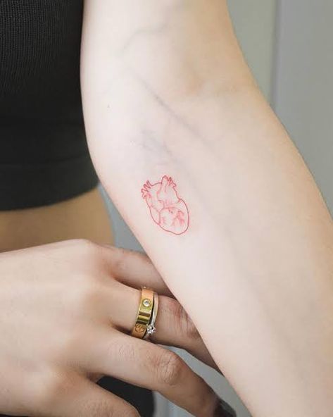 #tattoo #tattooideas #tattooart #tattoosforwomen #aesthetic #smalltattoo #smalltattooideas #keşfet #minimal #mini #minimalist #minimaltattoo Forearm Tattoo Simple, Heart Fine Line Tattoo, Anatomy Heart Tattoo, Heart Tattoo Red, Red Line Tattoo, Simple Line Tattoo, Anatomy Tattoo, Tattoo Red, Small Forearm Tattoos