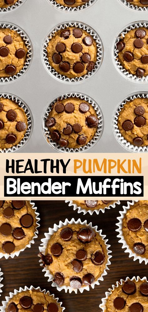 Pumpkin Blender Muffins (Healthy Breakfast Recipe Idea) Pumpkin Blender Muffins, Pumpkin Oatmeal Muffins, Blender Muffins, Peanut Butter Muffins, Healthy Blueberry Muffins, Sweet Potato Brownies, Peanut Butter Pumpkin, Pumpkin Banana, Pumpkin Oatmeal