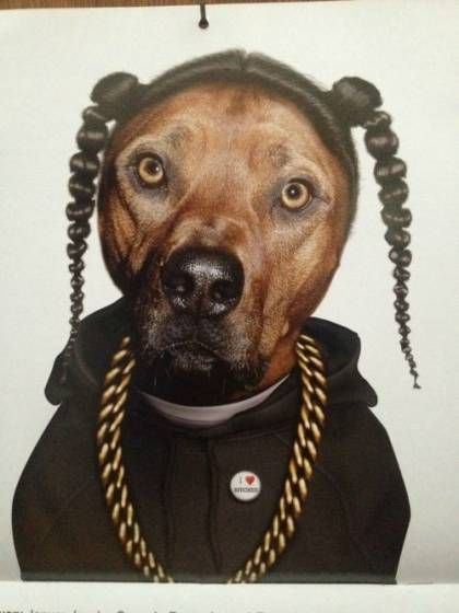 Snoop Dog Snoop Dog, Dog Costumes, Dog Halloween, Snoop Dogg, Bones Funny, I Love Dogs, Funny Cute, Puppy Love, Funny Dogs