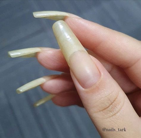 Kitty Claws Nails, Real Long Nails, Grow Long Nails, Long Natural Nails, Curved Nails, Claw Nails, Hippie Painting, Nail Growth, Strong Nails