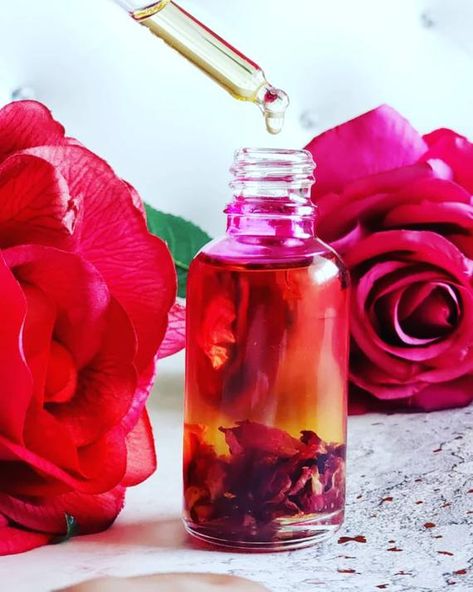 Rose Oil Serum Organic, Fast absorbing, Light weight, antioxidant, antimicrobial, and smells divine! #rose #roseserum #skincare #antiaging #hydrating #moisturizer #oilserum #organic #eventone How To Make Rose Oil, Homemade Rose Oil, Oil Rose Md, Making Rose Oil, Fresh Rose Serum, Beard Growth Oil, Calendula Oil, Apricot Oil, Soap Shop