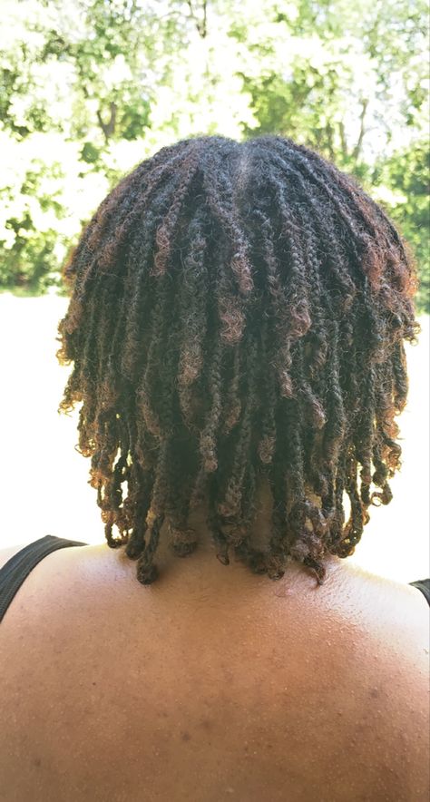 Braids as starter locs. One month into the journey . Look at the texture ! Starter Locs With Braids, Starter Locs On 3b/3c Hair, Braided Starter Locs, Braid Starter Locs, Braid Locs Starter, Braid Locs, Dread Braids, Beautiful Locs, Starter Locs