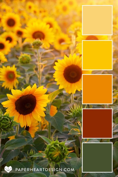 Sunflower Color Pallete, Yellow Green Brown Red Color Palette, Red And Yellow Interior Design, Sunflower Pallet Color, Sunflower Color Scheme, June Colour Palette, Color Pallets With Yellow, Sunflower Colour Palette, Green Yellow Orange Color Palette