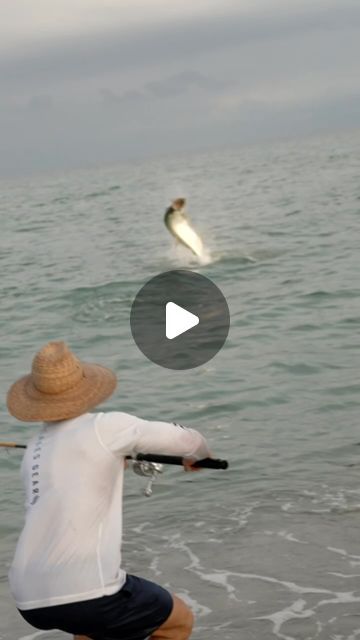 Tyler Wald on Instagram: "Couldn’t buy a tarpon bite on live mullet so I switched over to the @nolivebaitneeded and it produced an absolute giant!  Full video of our mullet run surf fishing trip is out on my YouTube channel- link in bio. • • • #fisherman #surffishing #floridafishing #beach #tarpon #snook #catchandrelease #fishon #fishing #saltwaterfishing #bigfish #giant #fish ##igreels #fyp #explore #livingthedream" Fishing Videos Funny, Mullet Fish, Fighter Fish Video, Fish Swimming Gif, Old Lady Cartoon, Halibut Fishing, Musky Fishing, Giant Fish, Fish Memes Funny