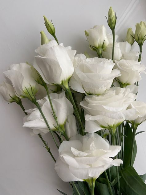 Spring Homescreen, Classy Flowers, Dior Flowers, White Lisianthus, White Gardenia, Color Aesthetic, Boquette Flowers, Flowers Bouquet Gift, Nothing But Flowers