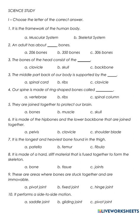 Skeletal System Worksheet Free Printable, Skeleton System Notes, Skeletal System Anatomy Notes, Muscular System Notes, Skeletal System Notes, Muscular System Worksheet, Skeleton Worksheet, Anatomy Worksheets, Skeletal System Activities