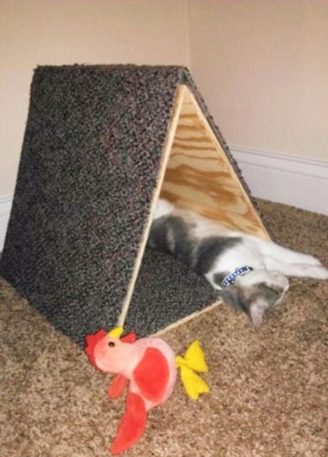 DIY Ideas With Carpet Scraps - Triangle Kitty Fort - Cool Crafts To Make With Old Carpet Remnants - Cheap Do It Yourself Gifts and Home Decor on A Budget - Creative But Cheap Ideas for Decorating Your House and Room - Painted, No Sew and Creative Arts and Craft Projects http://diyjoy.com/diy-ideas-carpet-scraps Diy Jouet Pour Chat, Diy Cat Scratching Post, Diy Cat Tent, Diy Chat, Chat Diy, Cat Tent, Diy Cat Toys, Cat Towers, Cats Diy Projects