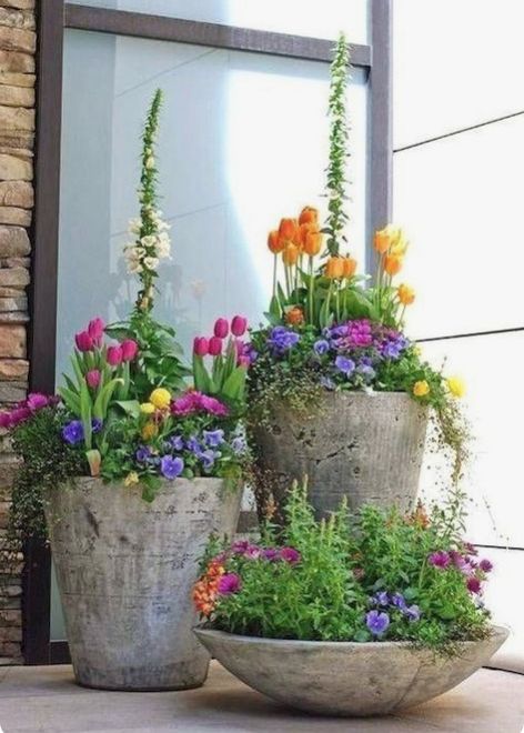 نباتات منزلية, Container Garden Design, Small Front Yard Landscaping, Small Front Yard, Container Gardening Flowers, Cement Planters, Garden Containers, Beautiful Flowers Garden, Front Yard Garden