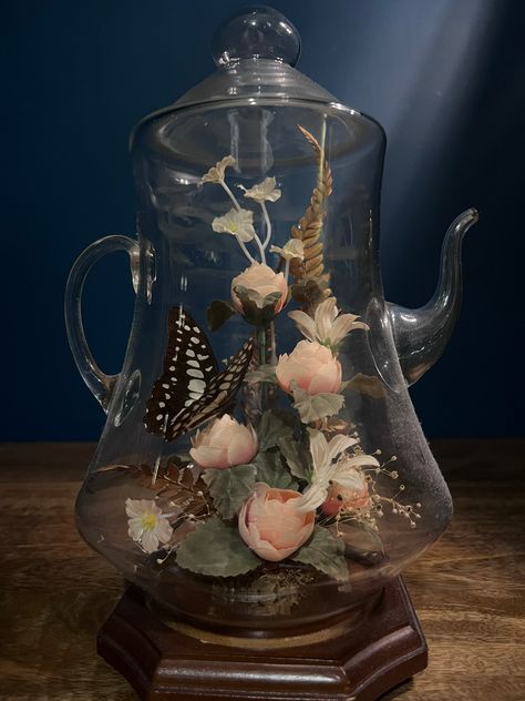 Great condition, glass tea pot with butterfly taxidermy. Butterfly Taxidermy Aesthetic, Framed Insects Display, Bug Taxidermy Art, Goth Taxidermy, Bug Pinning, Butterfly Terrarium, Entomology Decor, Butterfly Items, Butterfly Dome