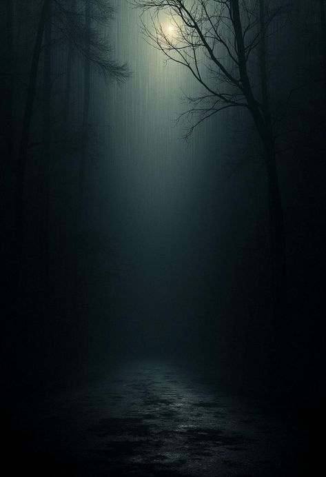 dark background Night Background Hd, Web Design Dark, Phone Wallpapers Dark, Gloomy Aesthetic, Calming Backgrounds, Dark Iphone Backgrounds, Wallpaper Backgrounds Dark, Forest Designs, Dark Forest Aesthetic