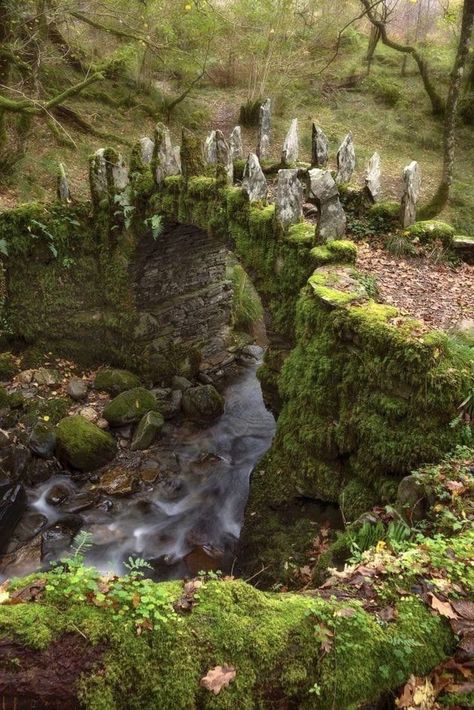 Irish Aesthetic, Fairy Bridge, Rachel Jones, Scotland Landscape, Isle Of Skye Scotland, Fantasy Life, Skye Scotland, Photography Workshops, Isle Of Skye