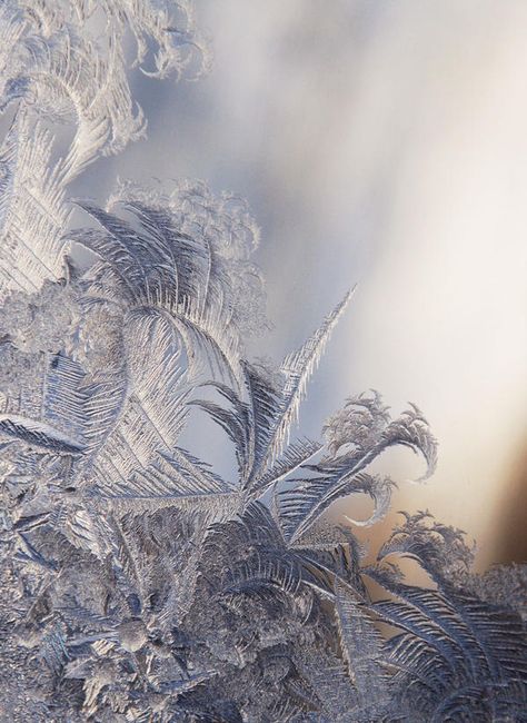 Childe Aesthetic, Ice Pictures, Snow Images, Nature Winter, Ice Art, Snow Crystal, Winter Frost, Ice Crystals, Winter Love