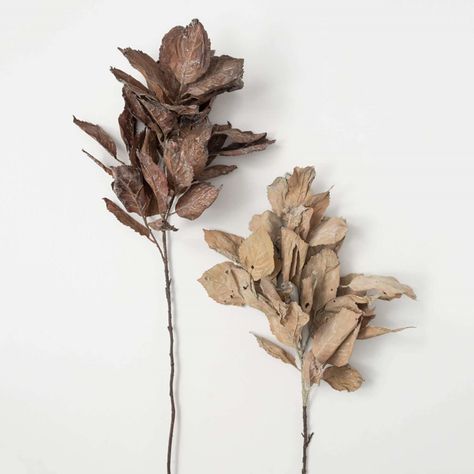 Free Spirit Hydrangea Leaf, Floral Projects, Hydrangea Leaves, Fiddle Fig, Dried Hydrangeas, Potted Trees, Melting Candles, Joss And Main, Artificial Plants