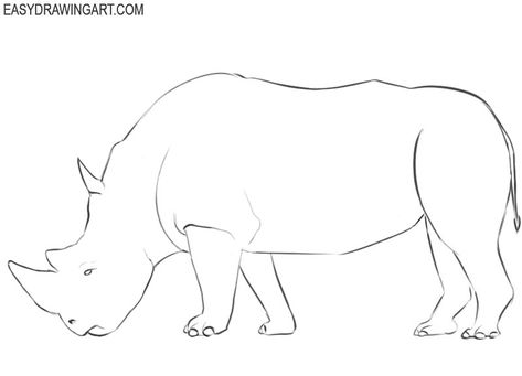 How to Draw a Rhinoceros | Easy Drawing Art Rhino Drawing Simple, Rhinoceros Drawing, Very Simple Drawing, Rhino Drawing, Simple Animals, Very Easy Drawing, White Rhinoceros, Big Painting, Beer Club