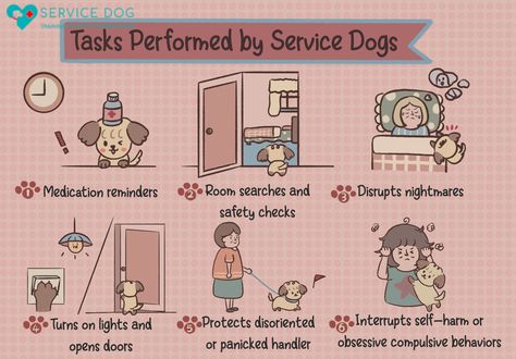 How to Train Your Dog To Be a Service Dog Service Animal Training, Boxer Service Dog, Service Dog Commands, How To Train A Service Dog, Training A Service Dog, Service Dog At School, Service Dog Tasks List, Psychiatric Service Dog Training, Service Dog Training Checklist