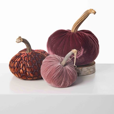 Velvet pumpkins display