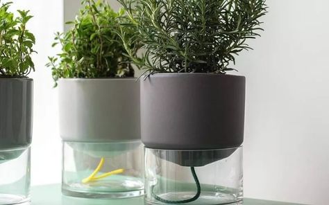 Self Watering Pots Diy, Diy Self Watering Pot, Easy Self Watering Planter Diy, Diy Self Watering Planter Indoor, Diy Self Watering Planter Potted Plants, Indoor Planters Pots, Self Watering Planter Diy, Over Watering Plants, Self Irrigating Planter Diy