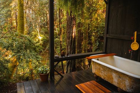 Forest Camping Hut — Elk Forest Retreat Forest Hut, Forest Camping, Wilderness Retreat, Forest Retreat, Forest Lodge, Alternative Living, Redwood Trees, Retreat House, Outdoor Sinks