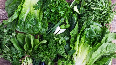 4 Delicious Salad Greens That Balance Gut Health, Lower Blood Pressure, and Boost Immunity Native Garden Ideas, Veg Side Dishes, Foods For Brain, Beautiful Salads, Substitute Ingredients, Gut Health Foods, Different Greens, Types Of Lettuce, Salad Making