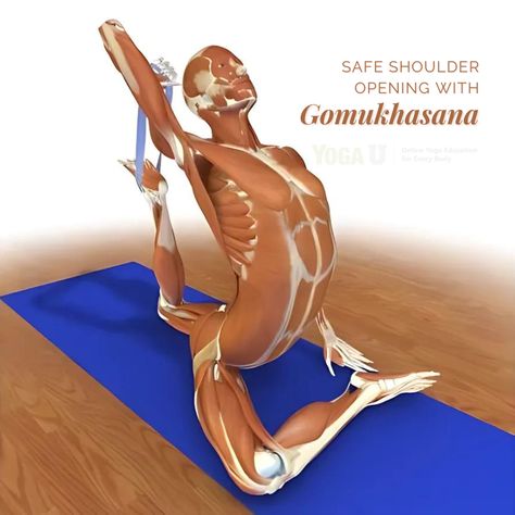 Made of four separate joints, the shoulder is the body's most mobile joint. 

Dr. Ray Long shows how to promote shoulder mobility while maintaining stability with this facilitated stretch in Cow Face Pose.

https://yogauonline.com/yoga-practice-teaching-tips/yoga-anatomy/yoga-anatomy-4-steps-to-facilitated-shoulder-stretching-in-gomukhasana/

#yogapose #yogaanatomy #yogateacher #yogaexpert #cowfacepose #teachyoga #yogajourney #yogapractice #yogaforall #yogachats #yogacourse Gomukhasana Pose, Bandha Yoga, Shoulder Stretching, Subscapularis Muscle, Kylie Pregnant, Shoulder Anatomy, Cow Face Pose, Face Pose, Yoga Articles