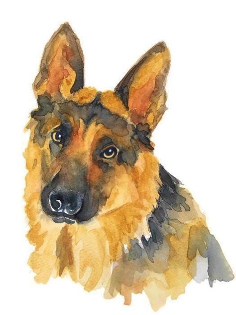 Dog Art German Shepherd, Watercolour German Shepherd, German Shepherd Watercolor Paintings, Dog Watercolour Painting, Watercolor German Shepherd, Dog Watercolor Painting Easy, Dog Portrait Illustration, Cat And Dog Painting, Watercolor Art Animals