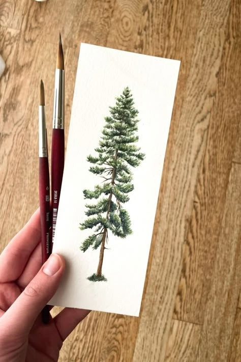 Evergreen Tree Tattoo, Pine Tattoo, Pine Tree Drawing, Pine Tree Painting, Pine Tree Tattoo, Tree Species, Tree Sketches, Ponderosa Pine, Christmas Tree Painting