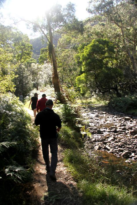 Emotion Photoshoot, Bush Walk, Bush Walking, Cumberland River, Getting Outside, Winter Bucket List, Life Planning, Just Live, Outdoor Fitness