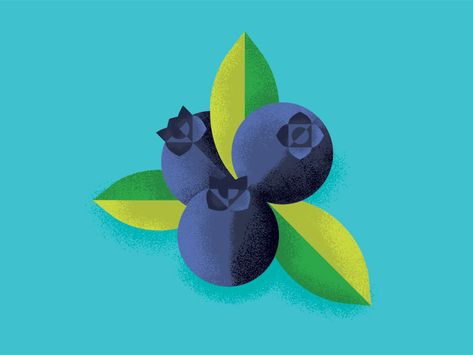 Blueberries by Ross Bruggink Blueberry Illustration, Blueberry Design, 동화 삽화, Illustrator Inspiration, Flat Design Illustration, Bunny Drawing, Illustration Ideas, Fruit Illustration, Fruit Design