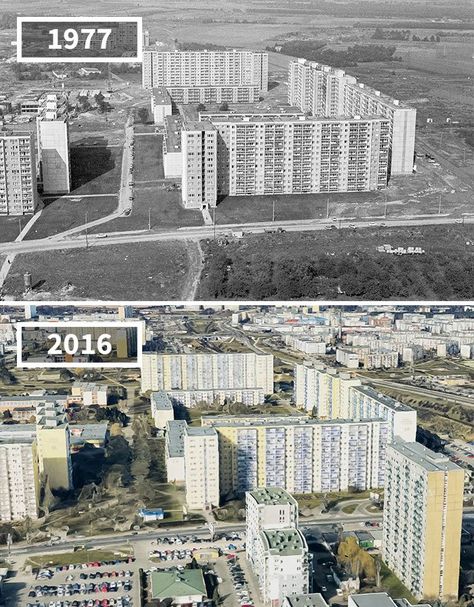 Birds Eye View City, Then And Now Pictures, Then And Now Photos, A Group Of People, Paris Pictures, Paris City, Group Of People, World Cities, Before And After Pictures